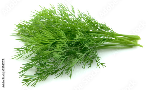 Fotografiet young dill close up