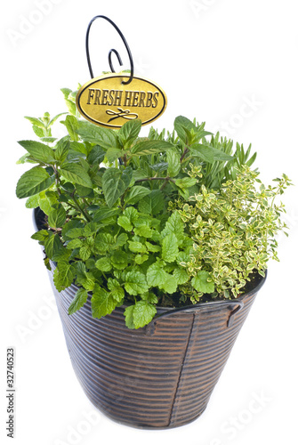 Mixed Fresh Herbs in a Metal Basket Isolated on White