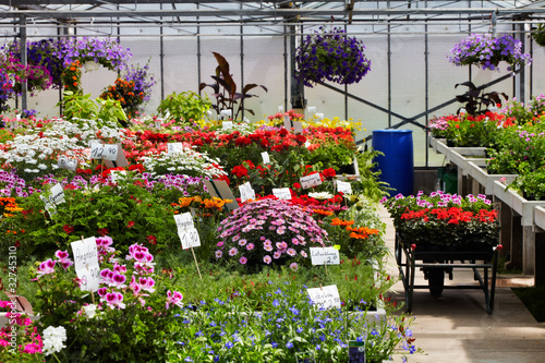 selling flowers in the greenhouse © Ingo Bartussek