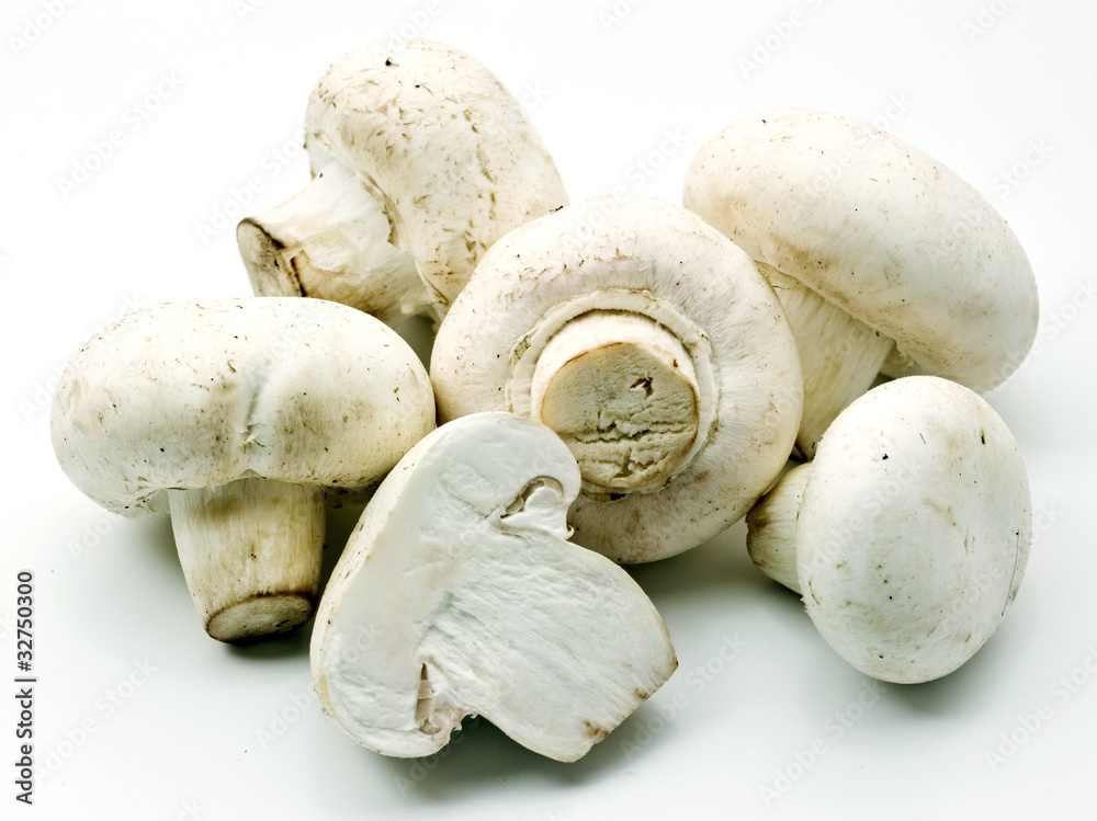 White mushrooms over white background White mushrooms over white background