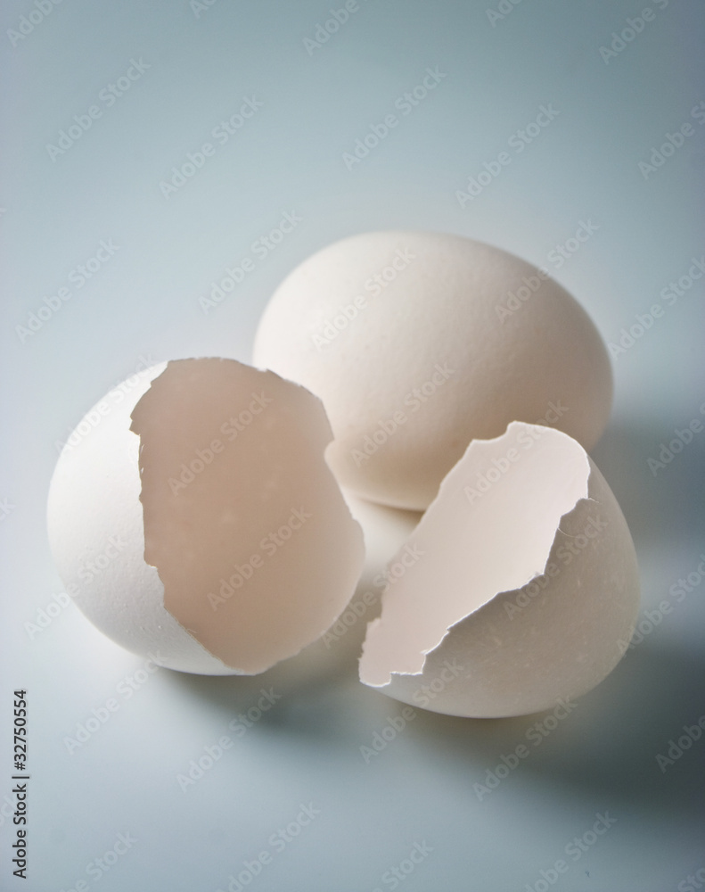 egg shell egg shell
