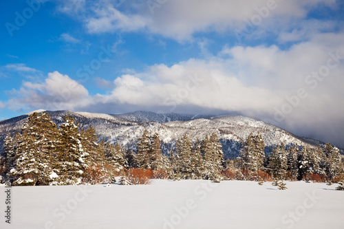 Winter Landscape at Lake Tahoe