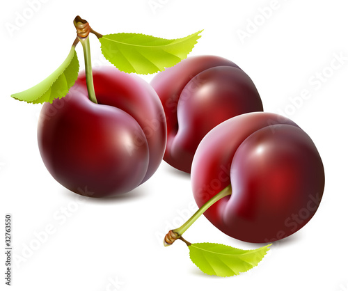 Vector plums with leaves
