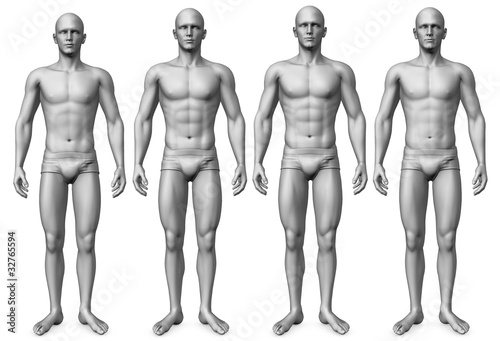 male morph - young to old