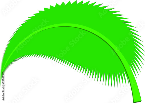 Blatt gefiedert
