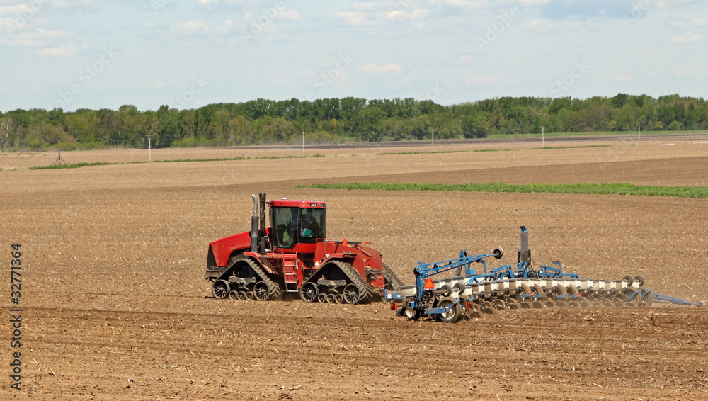 Fototapeta premium Planting Corn