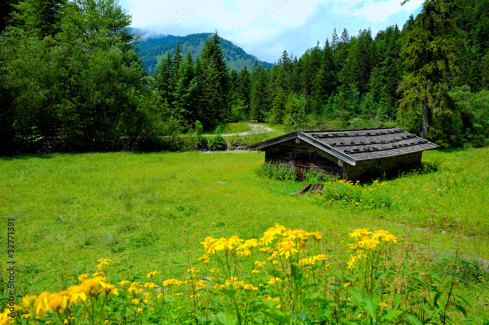 Fototapeta premium Almhütte, Wiese und Berge