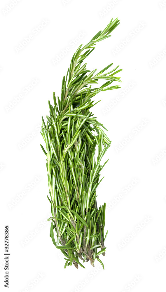bundle of fresh rosemary on a white background bundle of fresh rosemary on a white background