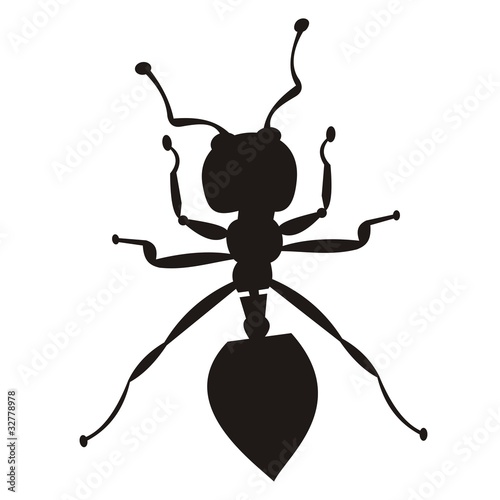 Hormigas_2