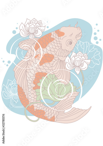 Koi carp in pond