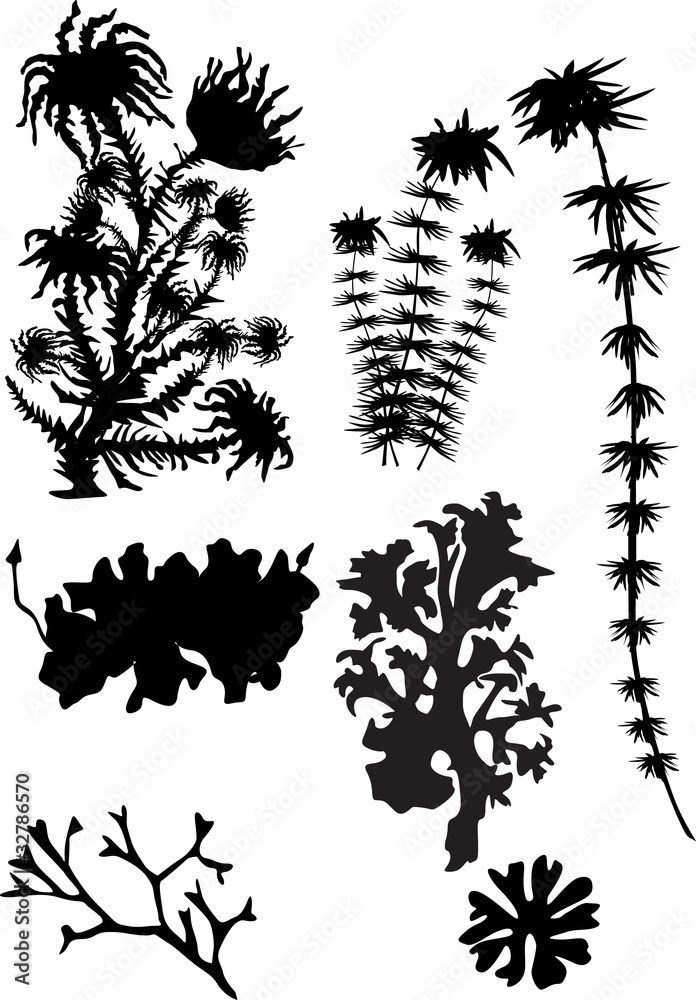 moss silhouettes isolated on white