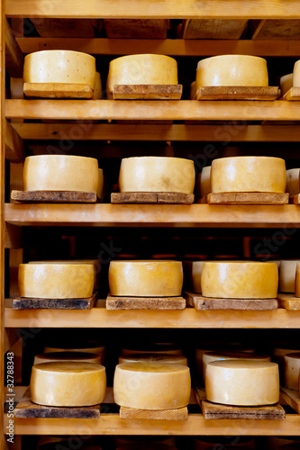 Obraz na płótnie World famous Croatian Pag cheeses on the shelves of dairy