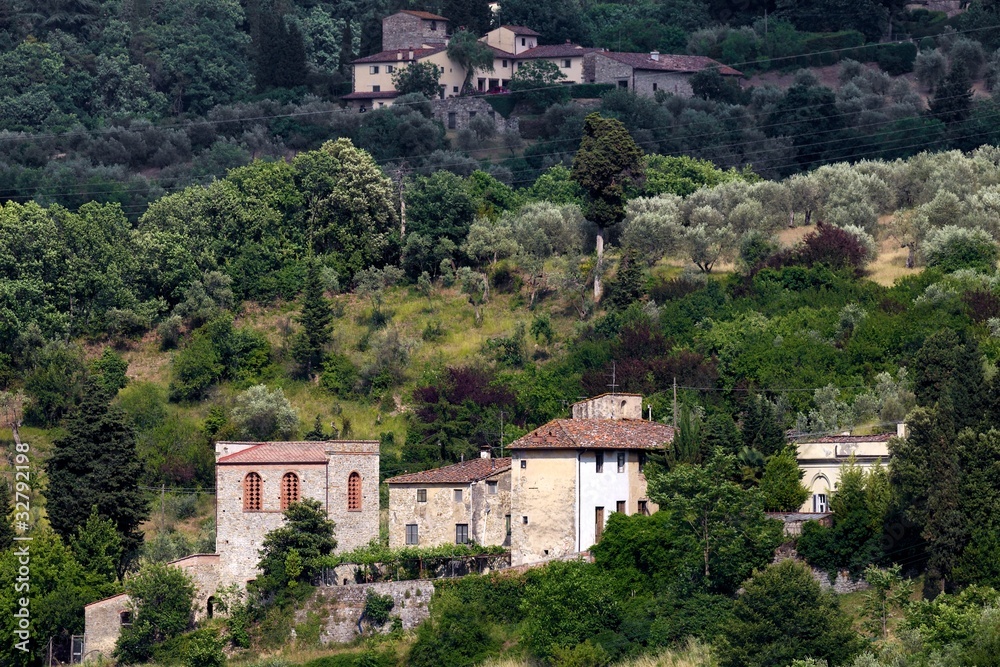 Colline fiesolane