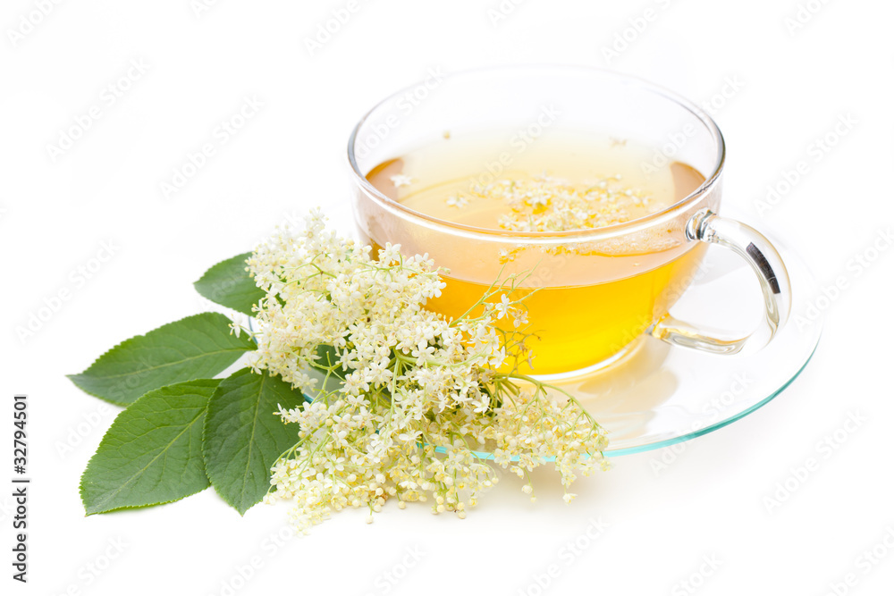 Tee mit Holunderblüten auf weißem Hintergrund Tee mit Holunderblüten auf weißem Hintergrund
