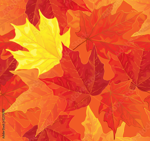 seamless pattern with autumn maple leaves