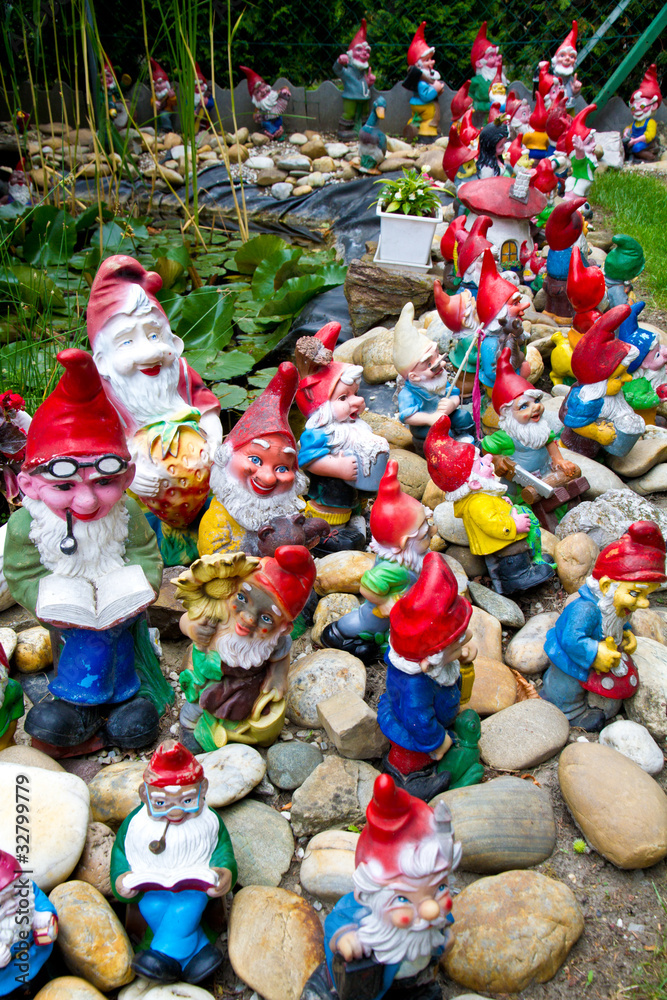 Fototapeta premium Garden Gnomes