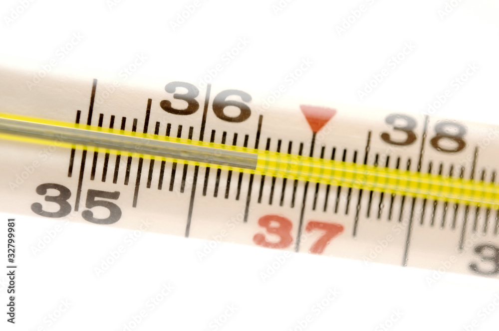 Medical mercury thermometer isolated on white Medical mercury thermometer isolated on white