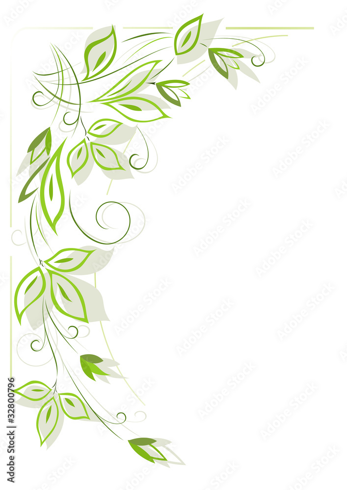 White background with green floral pattern