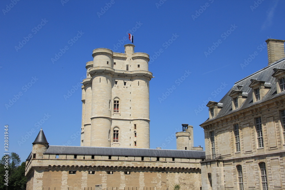 Vue sur un château fort