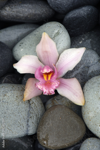 Zen stones with pink orchid