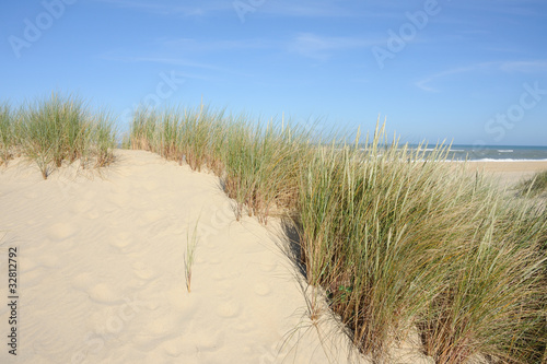 dune et océan 3 © Guy Pracros