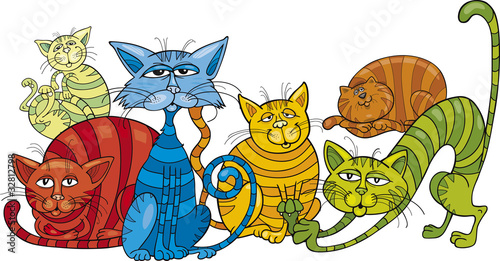 color cats group