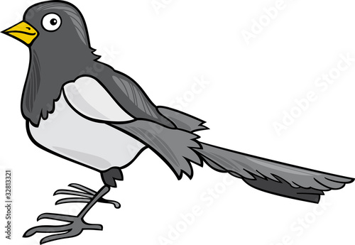 cartoon Magpie