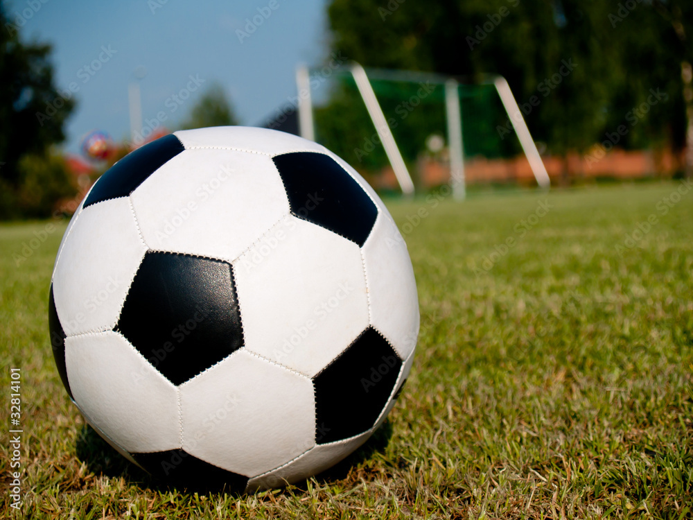 Fototapeta premium Soccer ball