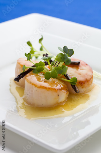 close up scallop