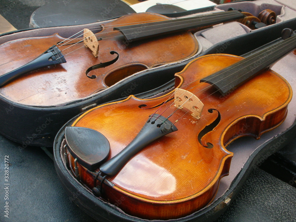 Fototapeta premium violini