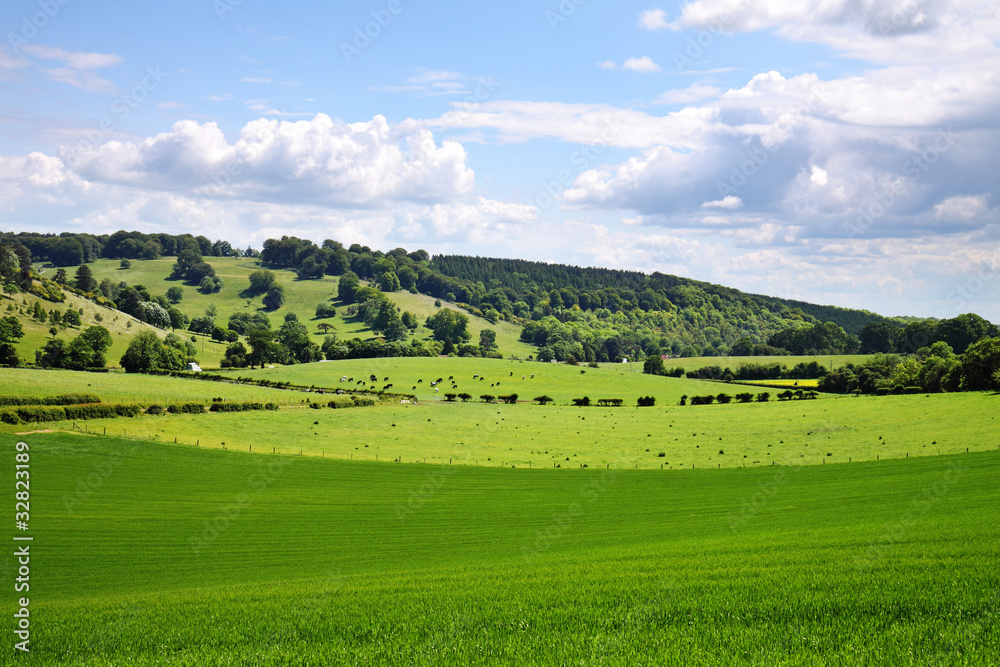 An English Rural Landscape in early Summer