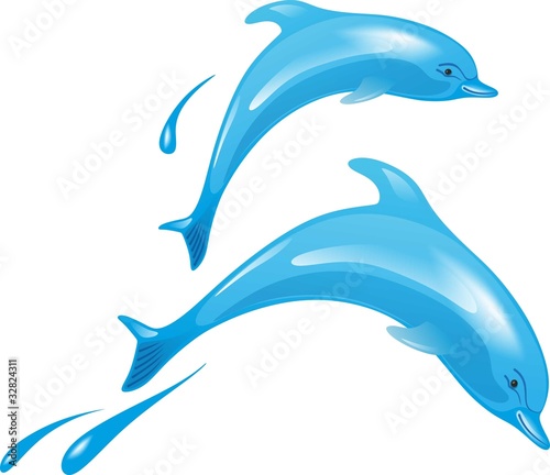 Delfin 2
