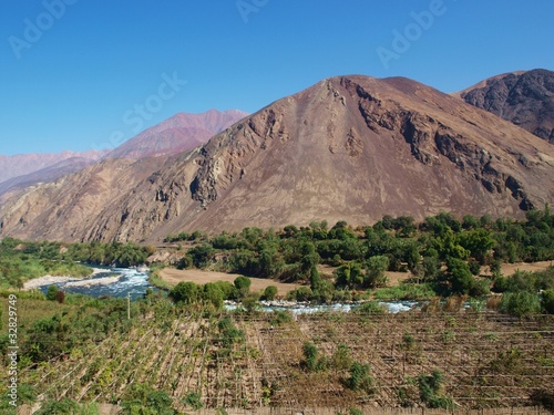 Panorama of wine valley and mountain in Peru, Canete photo