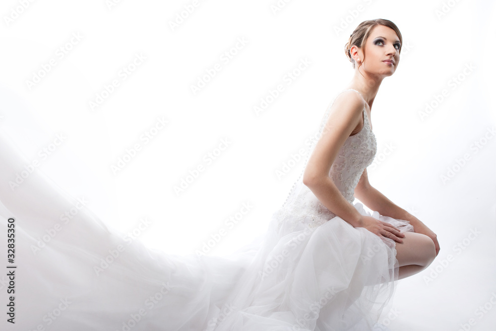 Fototapeta premium beautiful bride in a luxurious wedding dress