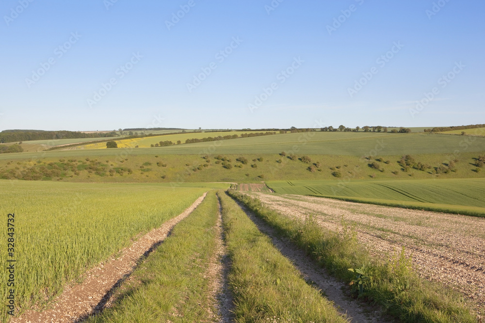 arable landscape