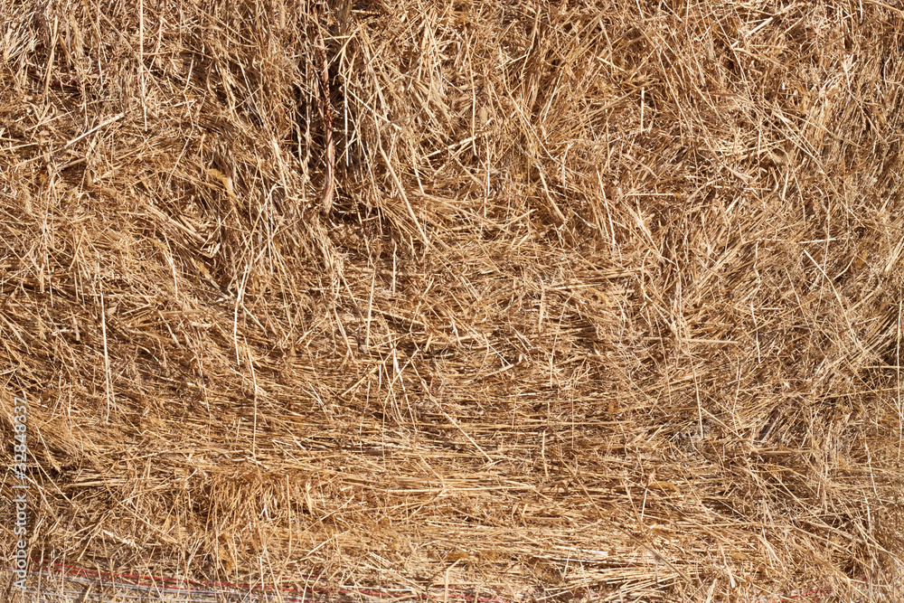 Straw texture background Straw texture background