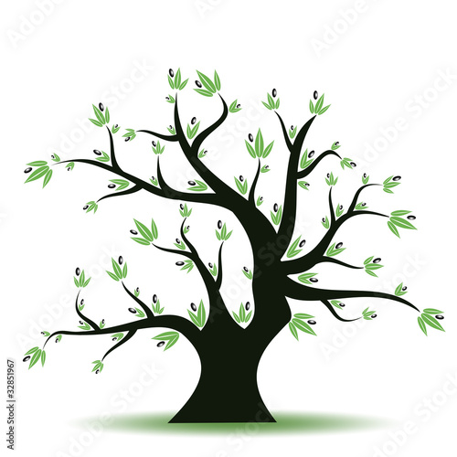 Olive tree