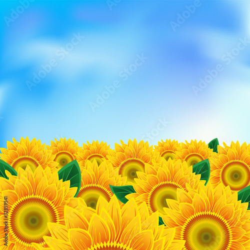 Fototapeta Naklejka Na Ścianę i Meble -  Background with sunflower
