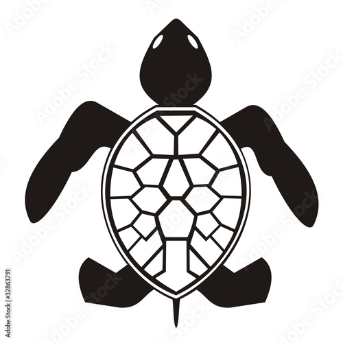 Tortuga_2