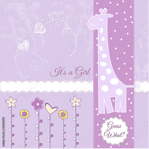 baby girl announcement