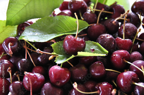 Cerises photo