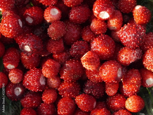 Sommerliche Walderdbeeren