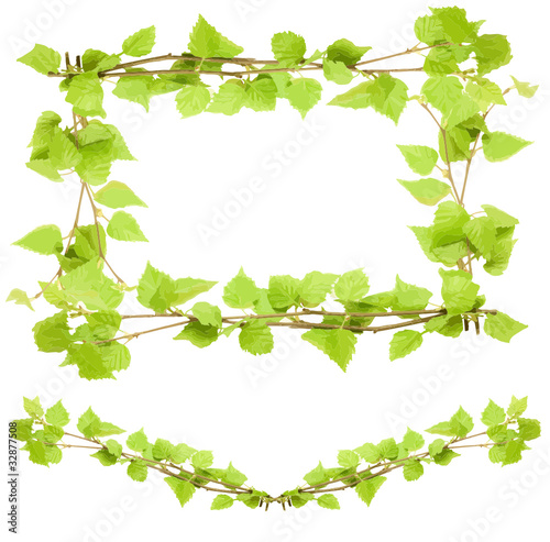 Design with green birch leaves, vector illustration