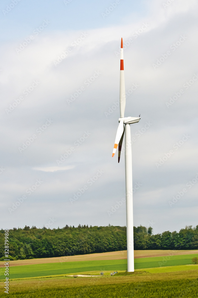 Fototapeta premium Windräder