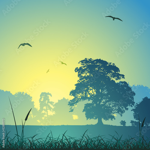 A Country Meadow Landscape with Trees and Birds