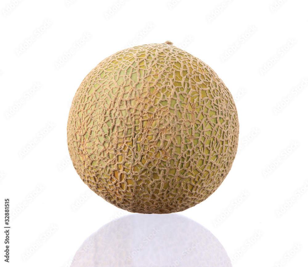 Close-up of melon over white background Close-up of melon over white background