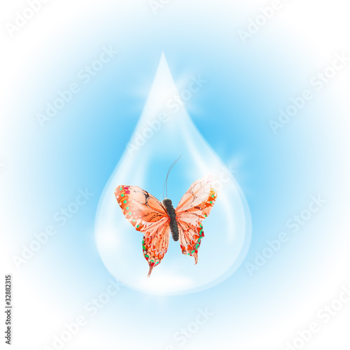 Red Butterfly in a drop of water