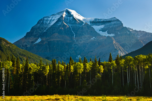 Early morning view of Mount Robson #32884903