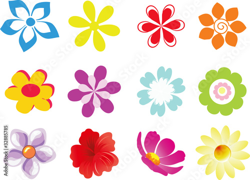 Set of vector flowers