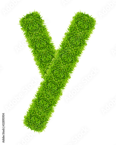 green grass letter Y Isolated